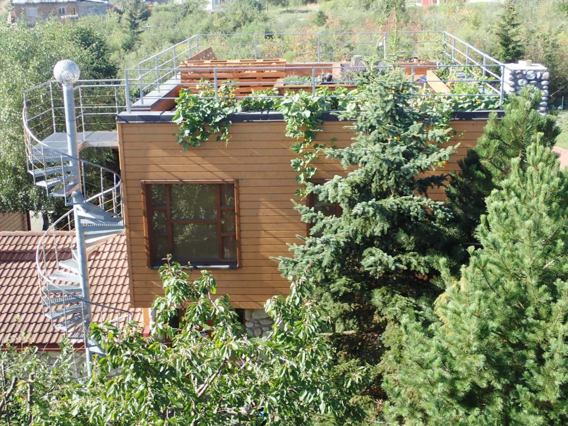 Family House - Apartmany Zuzana Stara Lesna Exterior photo