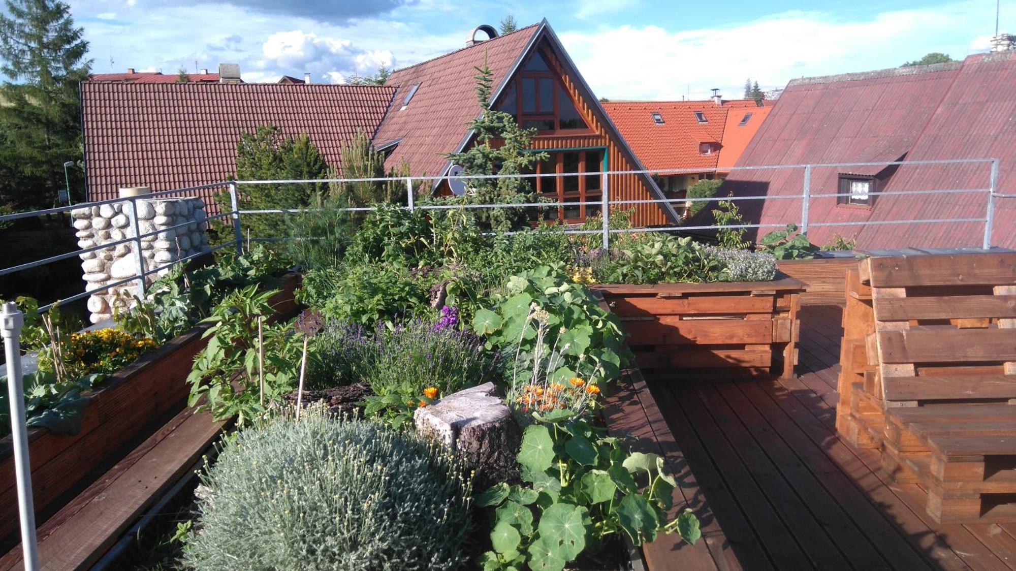 Family House - Apartmany Zuzana Stara Lesna Exterior photo